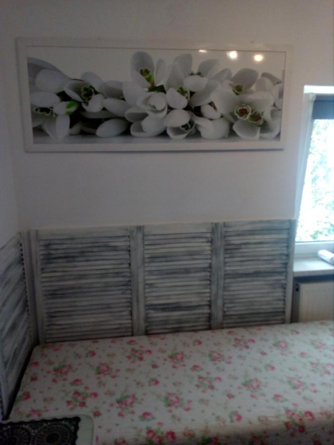 Pokoje Goscinne Cisowa Zielona Góra Extérieur photo