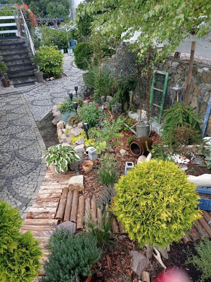 Pokoje Goscinne Cisowa Zielona Góra Extérieur photo
