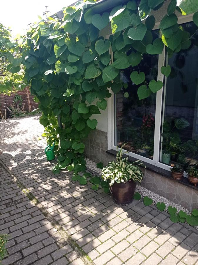 Pokoje Goscinne Cisowa Zielona Góra Extérieur photo