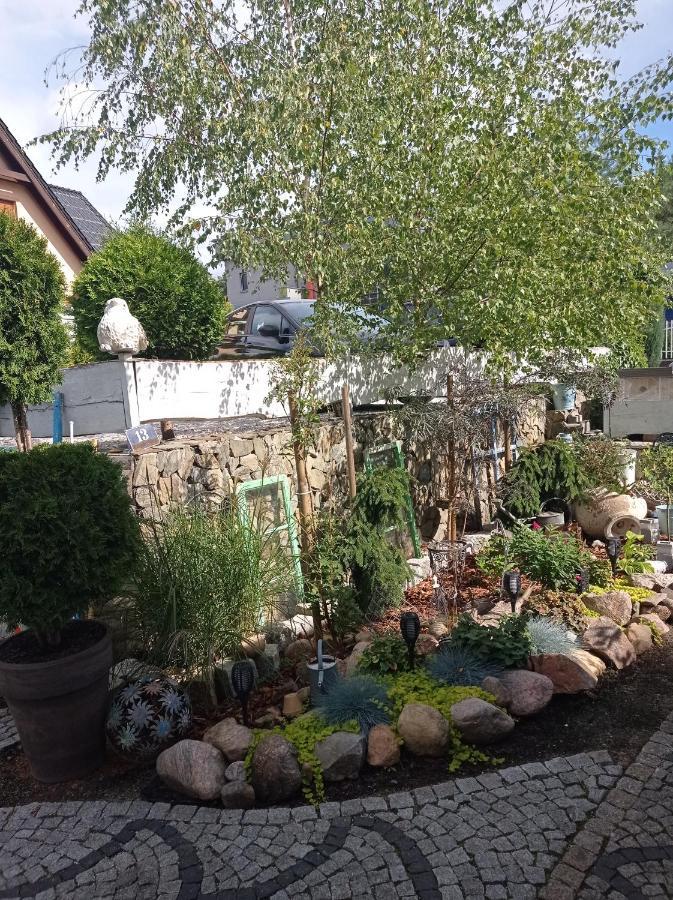 Pokoje Goscinne Cisowa Zielona Góra Extérieur photo