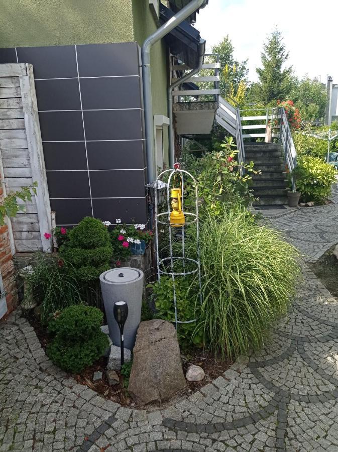 Pokoje Goscinne Cisowa Zielona Góra Extérieur photo